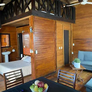 casa-paraiso-puerto-morelos.allrivieramayahotels.com/