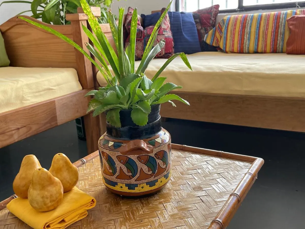 Vive Alegria Hostel Puerto Vallarta