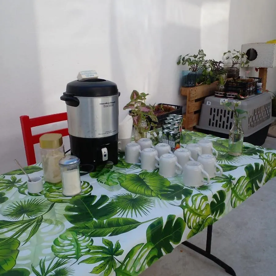 Vive Alegria Hostel Puerto Vallarta Mexico