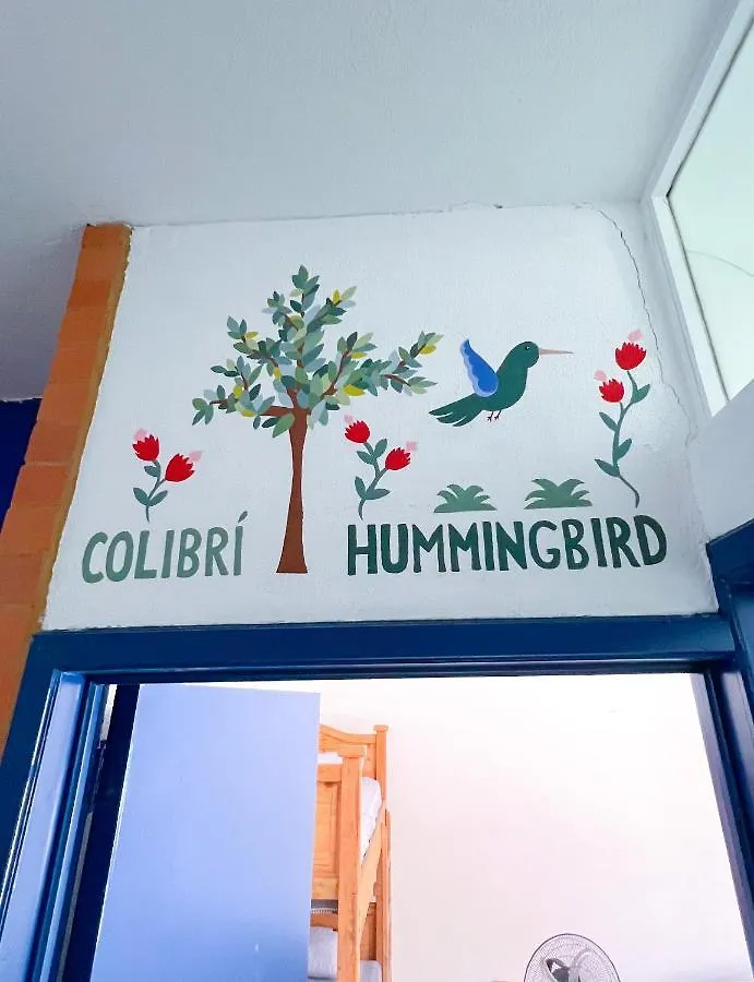 Vive Alegria Hostel Puerto Vallarta
