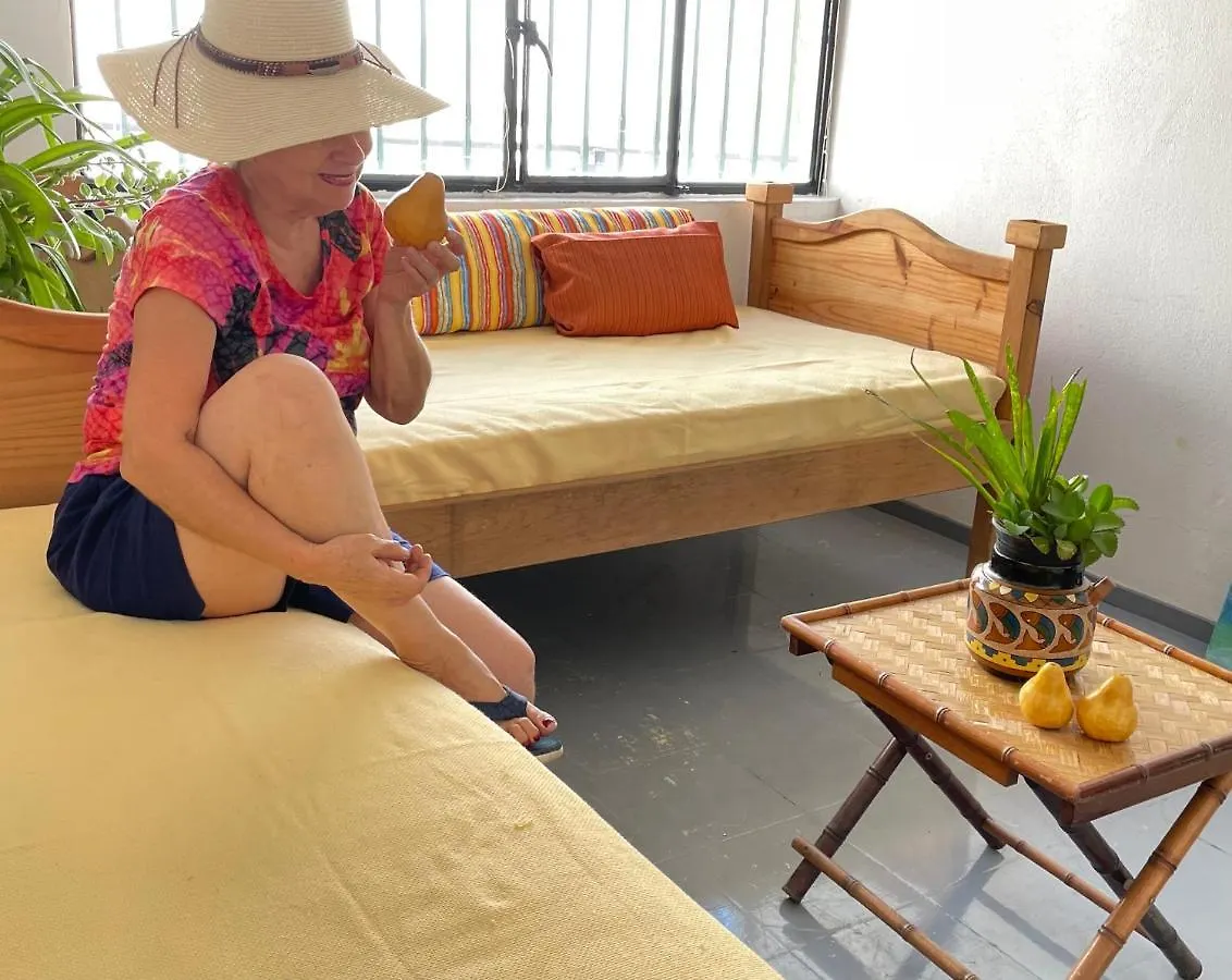 Vive Alegria Hostel Puerto Vallarta 0*,