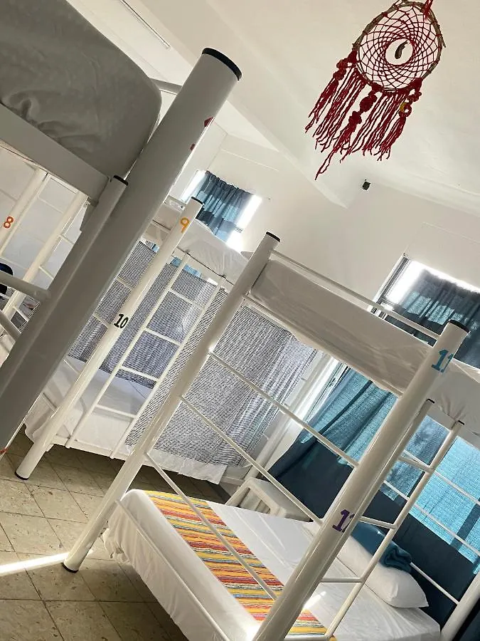 Vive Alegria Hostel Puerto Vallarta Mexico