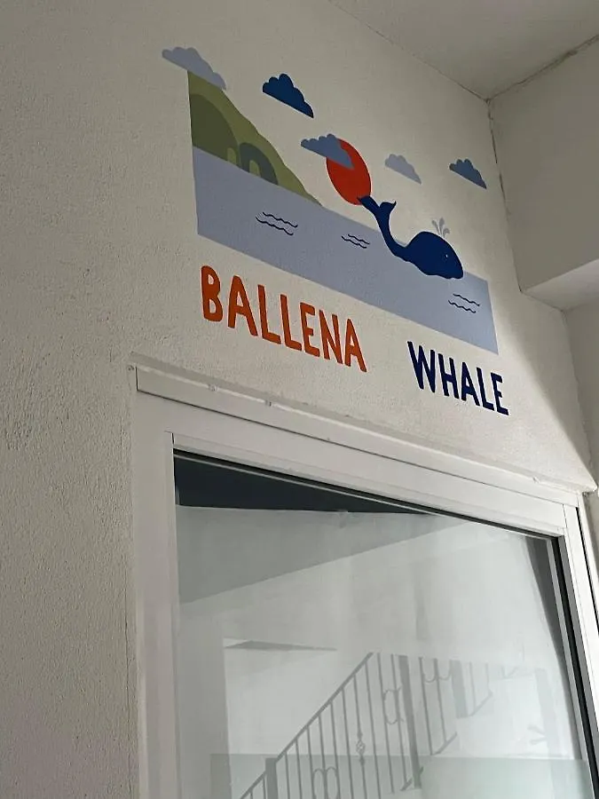 Vive Alegria Hostel Puerto Vallarta 0*,