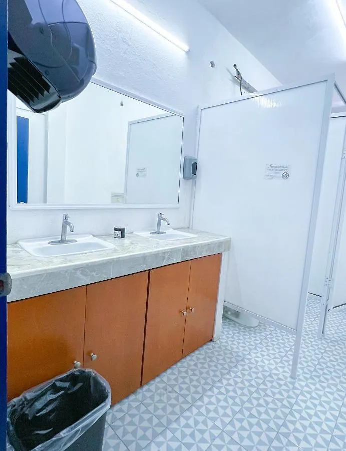 Vive Alegria Hostel Puerto Vallarta Mexico