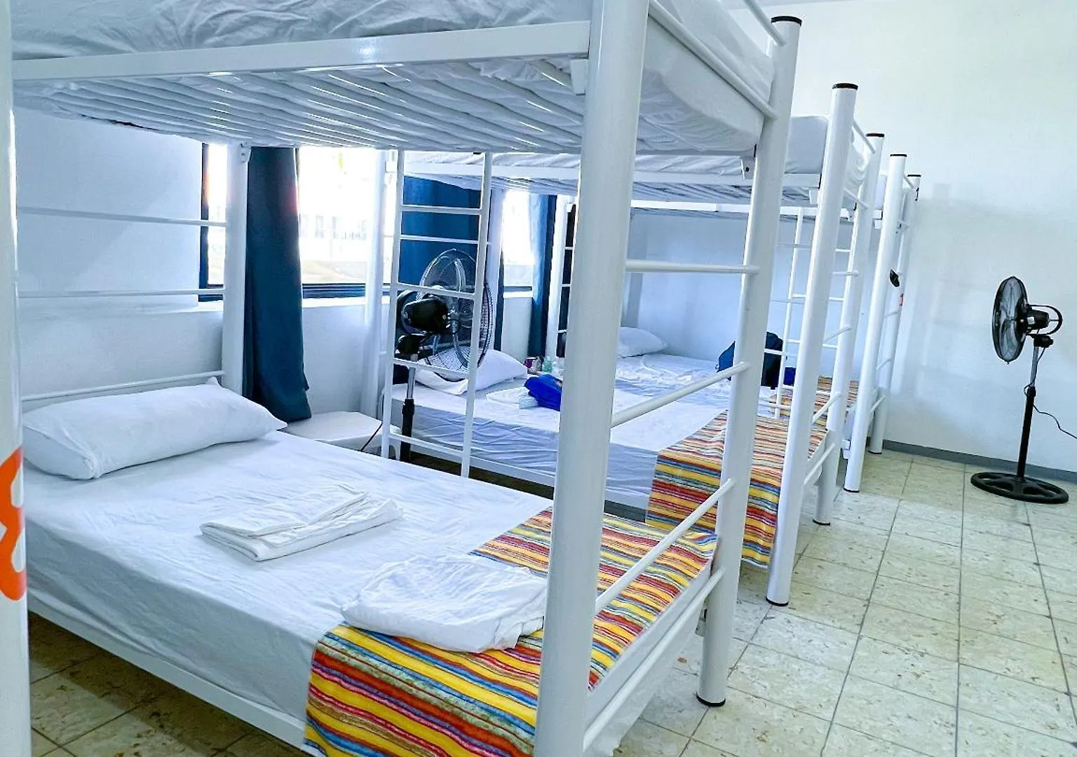 Vive Alegria Hostel Puerto Vallarta Mexico