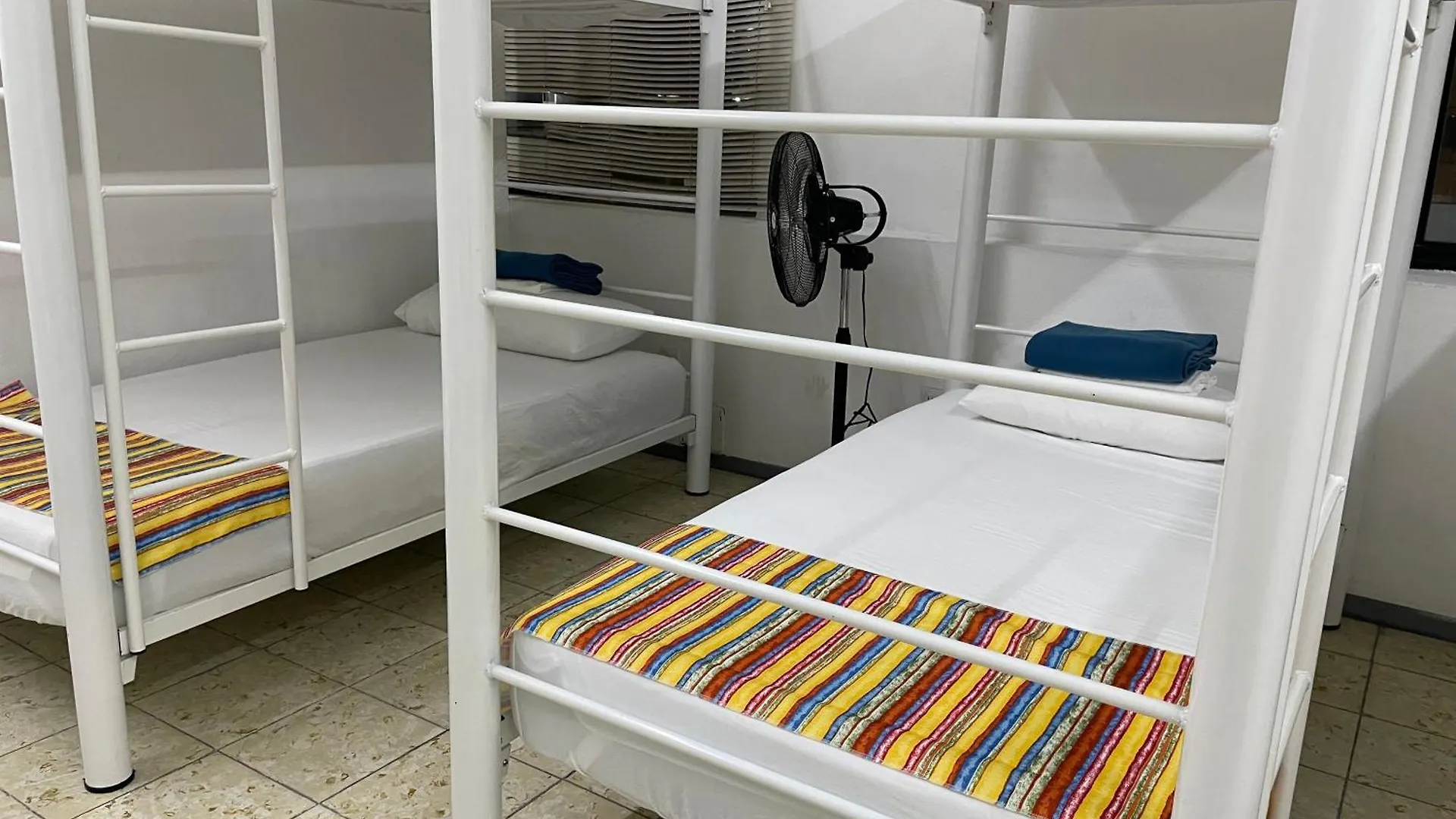 Vive Alegria Hostel Puerto Vallarta